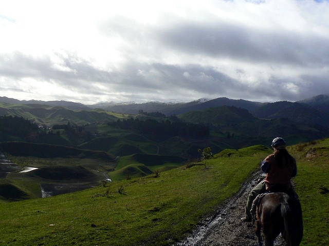 en la ruta